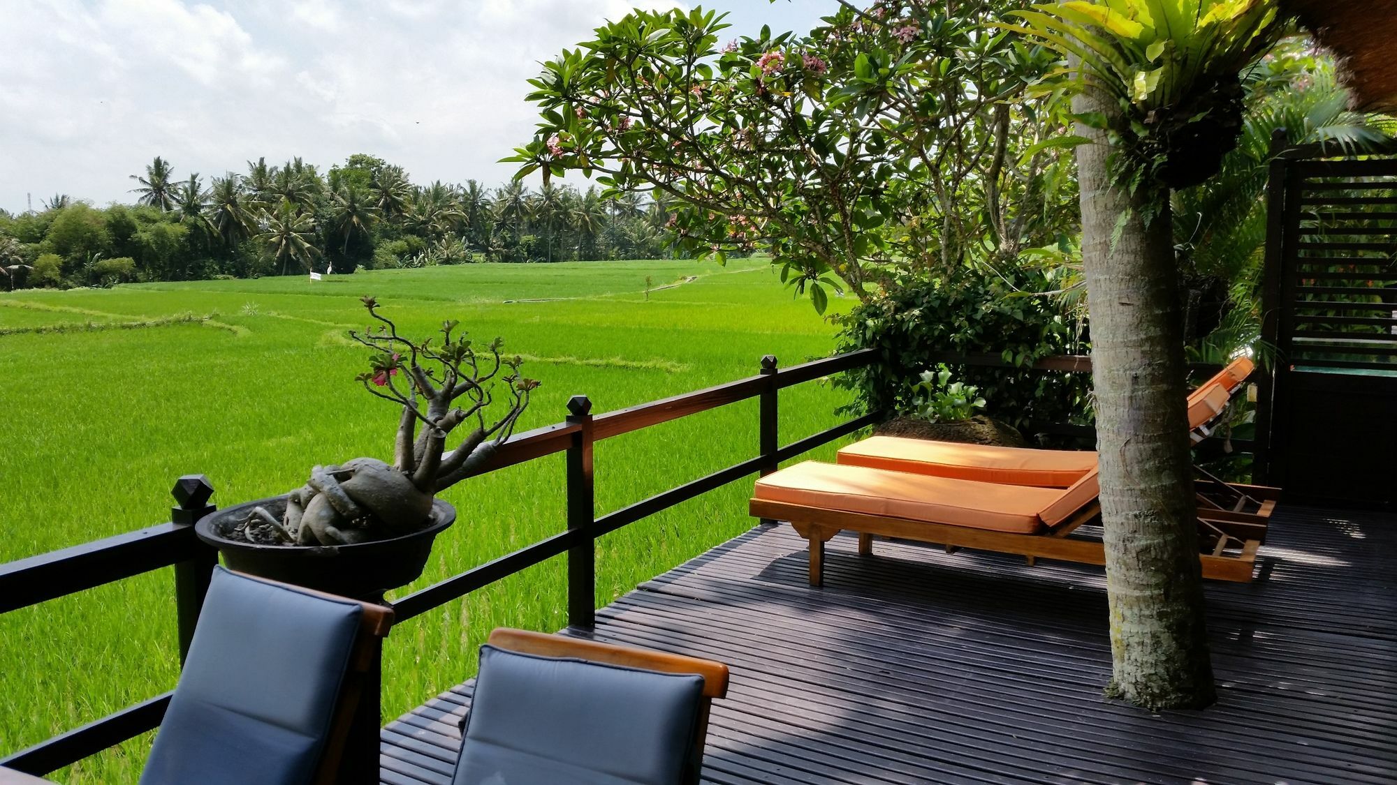 Lodtunduh Sari Ubud Exterior foto