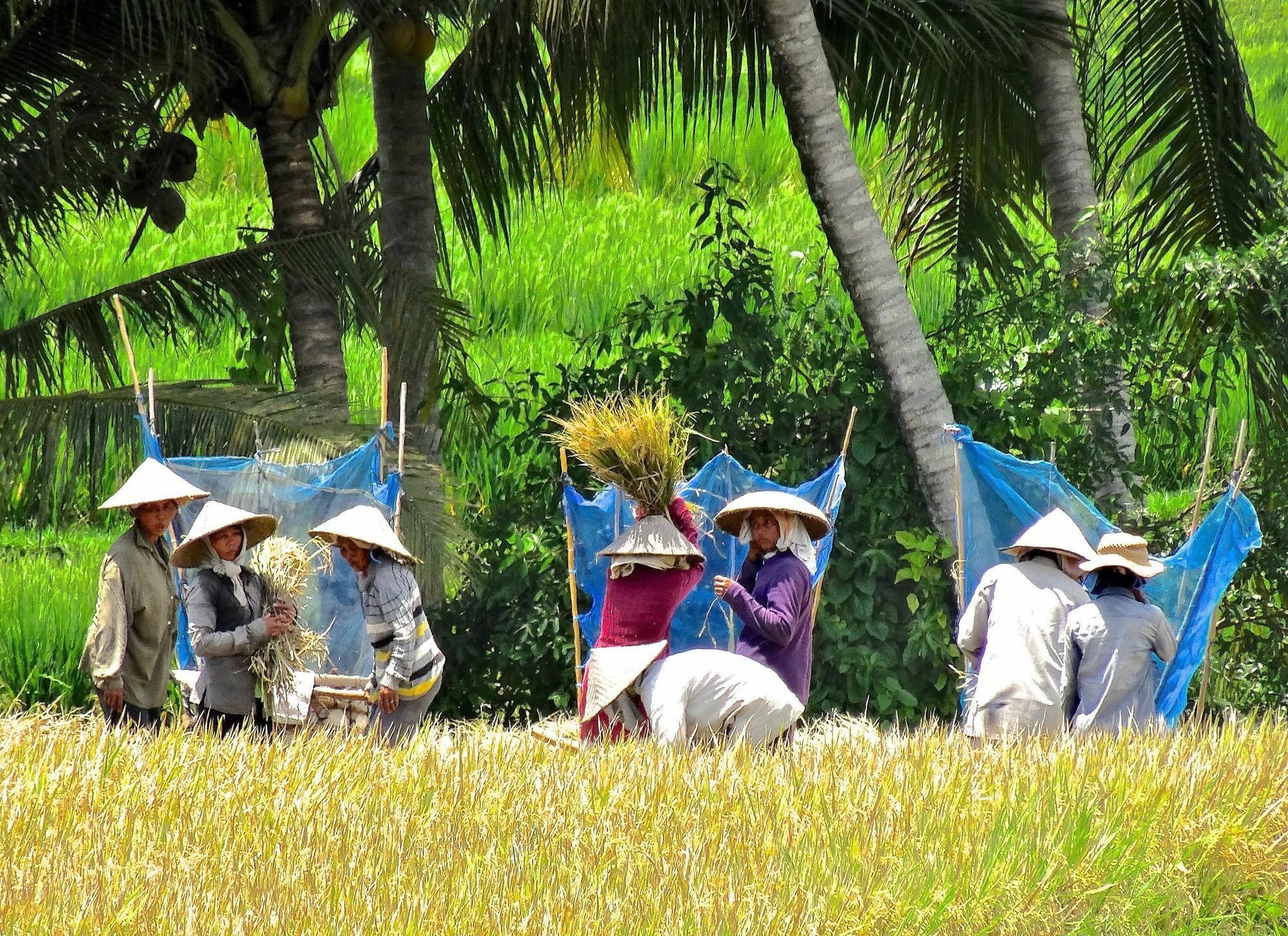 Lodtunduh Sari Ubud Exterior foto