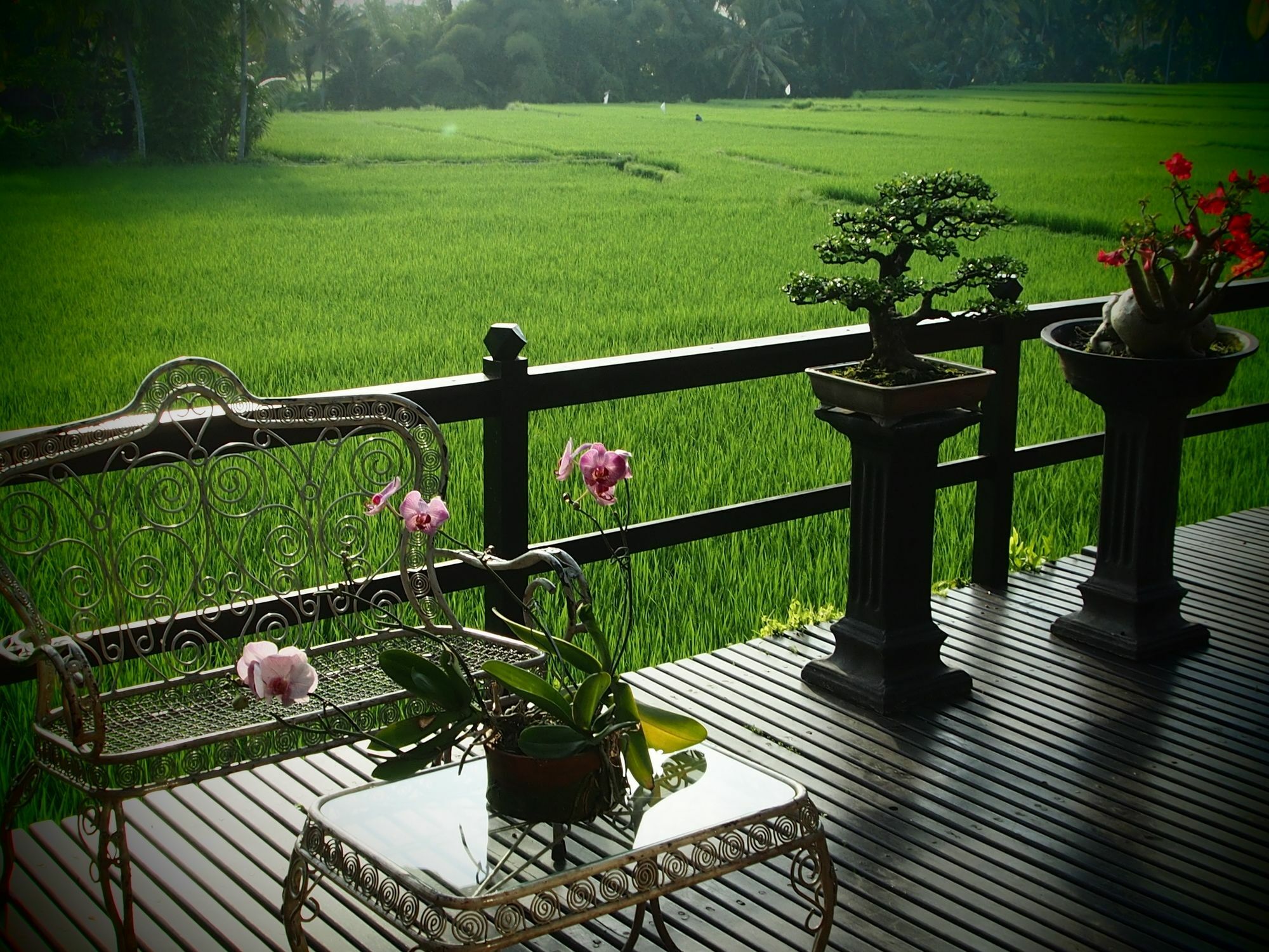 Lodtunduh Sari Ubud Exterior foto