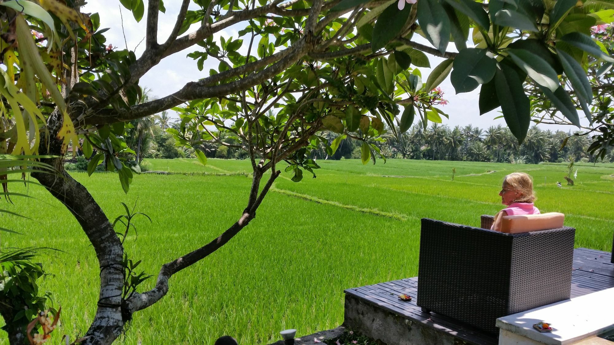 Lodtunduh Sari Ubud Exterior foto