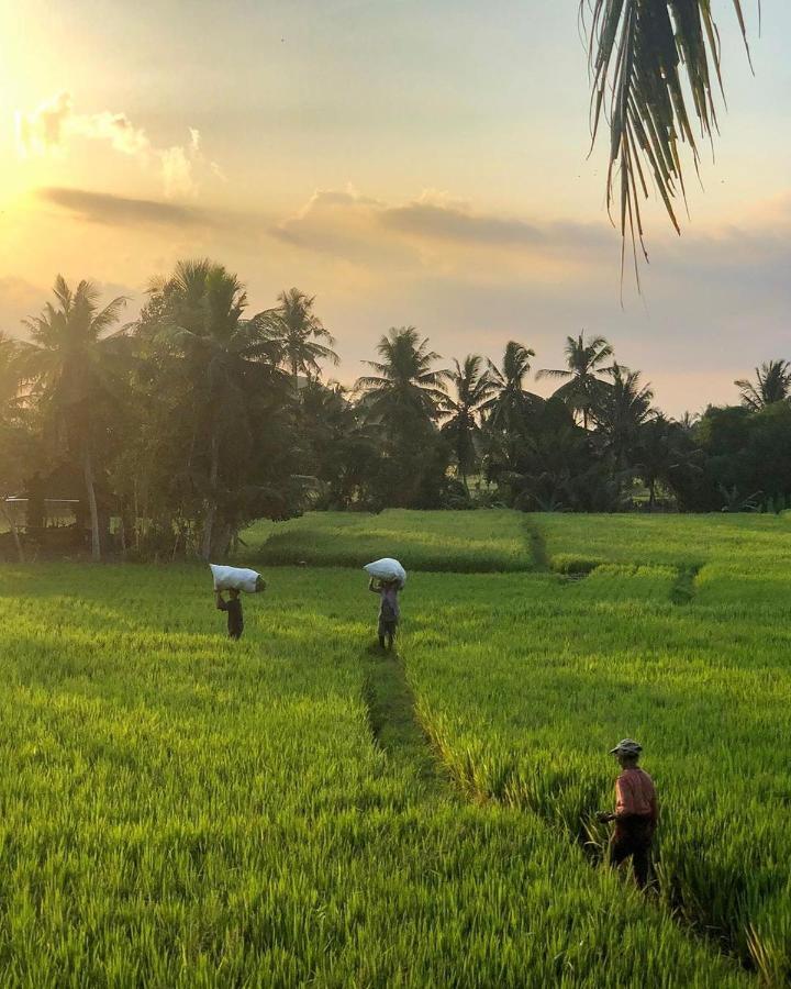 Lodtunduh Sari Ubud Exterior foto